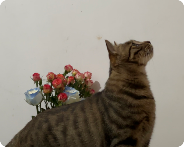 QQ_1757992389106.png